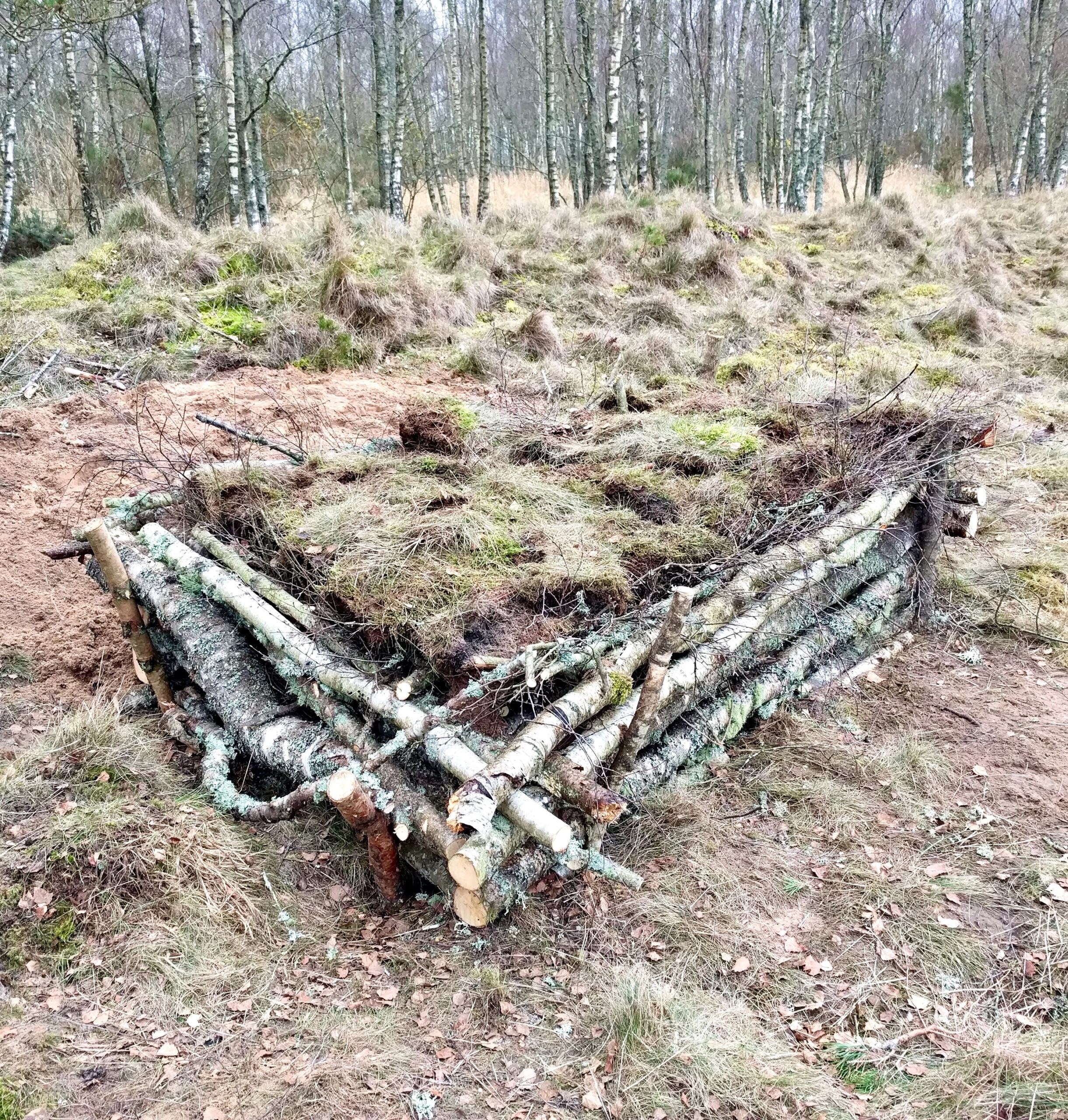 Hibernaculum à couleuvres