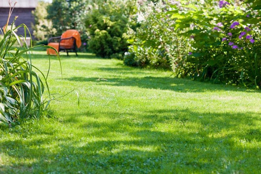 Jardin idéal pour le hérisson