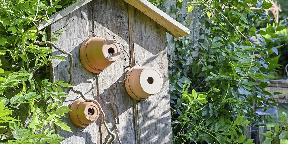 Nichoir ouvert pour les oiseaux